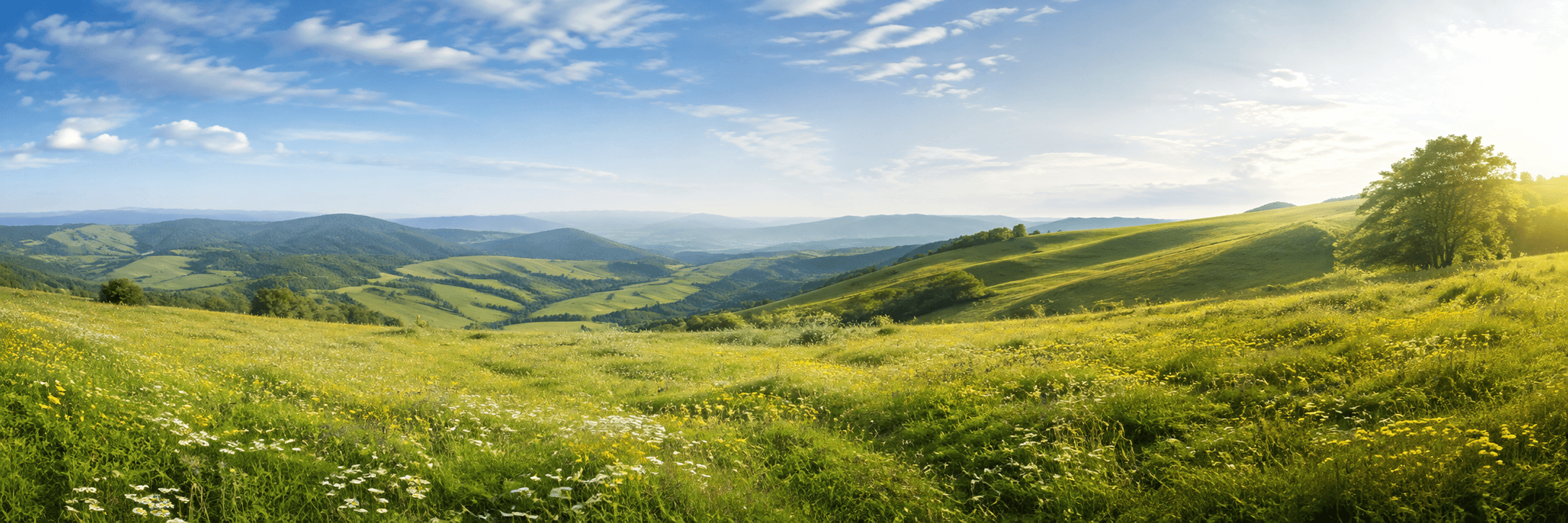 Mountain horizon